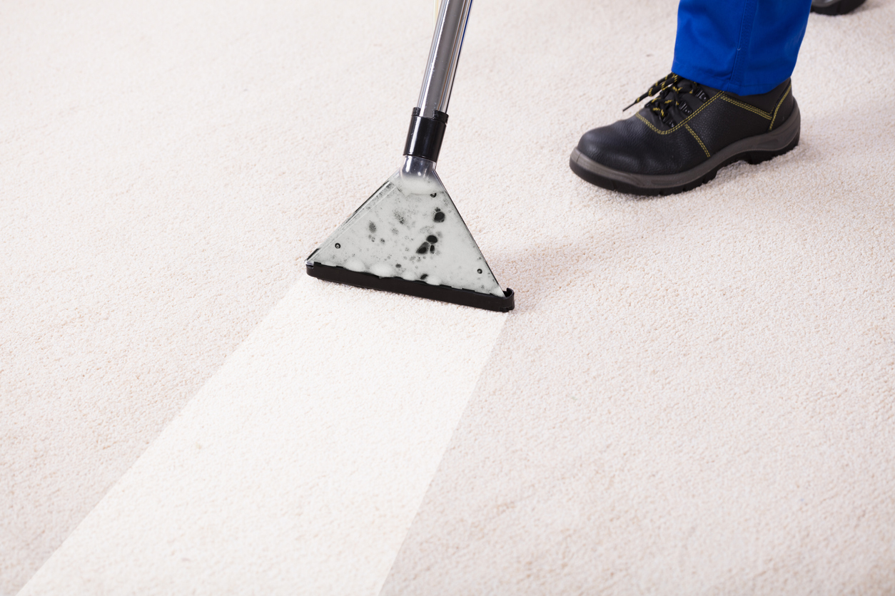 Carpet & Rug Cleaning Hilton Head, SC The Ultimate Floor Care Services